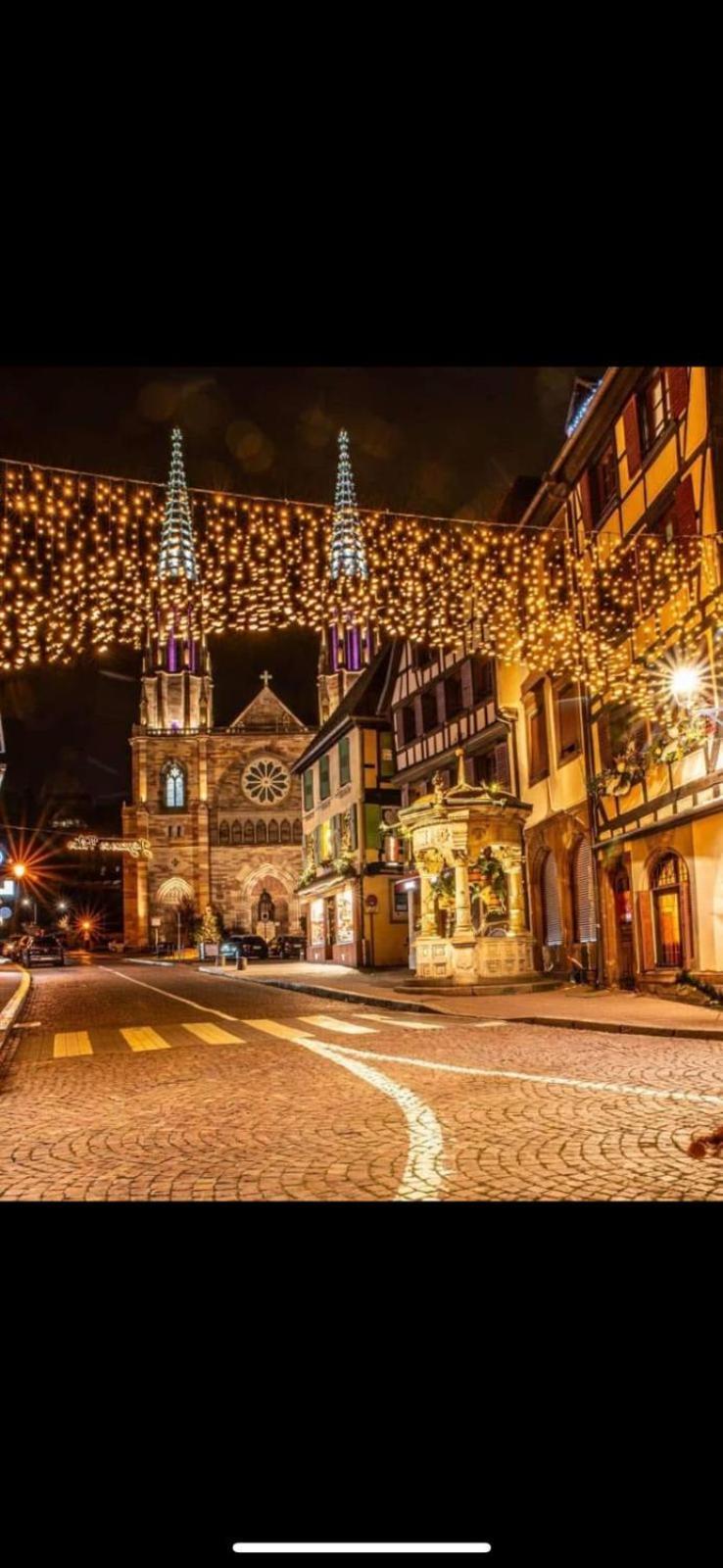Le Beffroi Apartment Obernai Bagian luar foto
