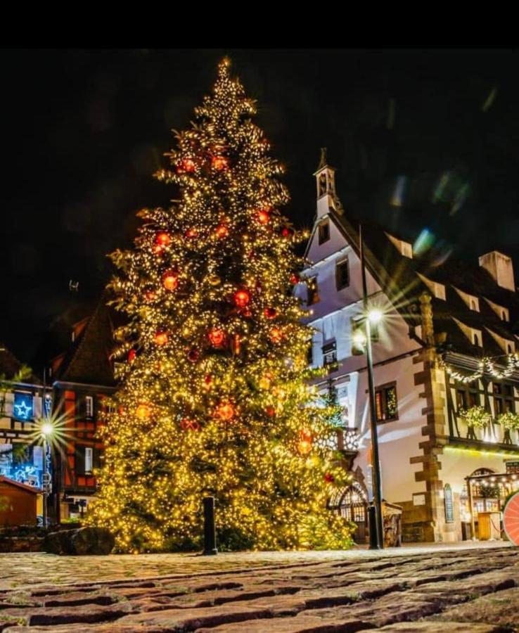 Le Beffroi Apartment Obernai Bagian luar foto