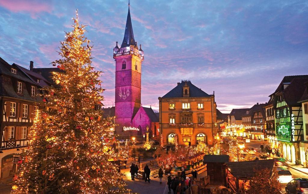 Le Beffroi Apartment Obernai Bagian luar foto