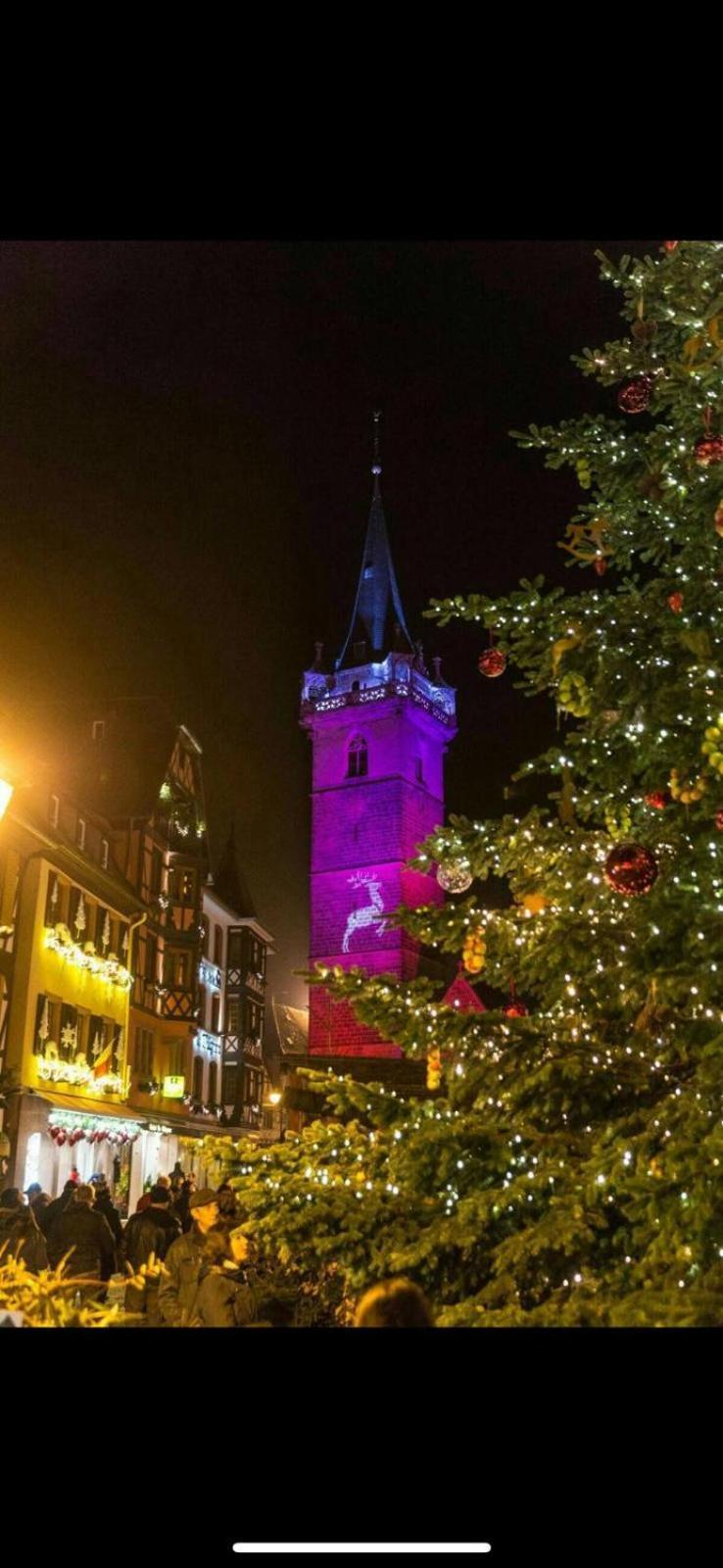 Le Beffroi Apartment Obernai Bagian luar foto